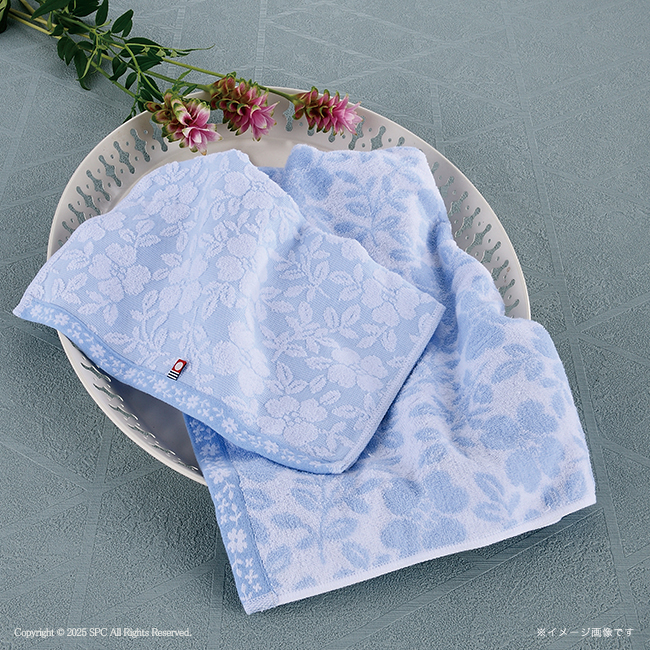 コンビネーションギフト　博多華味鳥　カレー・フリーズドライ＆はなみずき　今治タオルセット　No.100　割引き商品