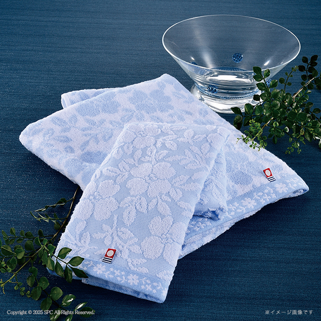 【送料無料】 コンビネーションギフト　ベイクドスイーツセレクション＆はなみずき　今治タオルセット　No.100