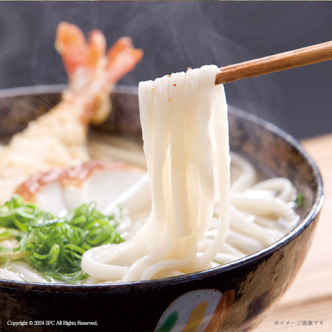匠風庵 カレーうどんを楽しむ讃岐うどん No.20