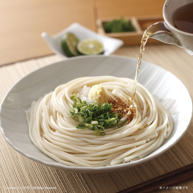 匠風庵 カレーうどんを楽しむ讃岐うどん No.20