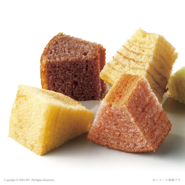 Tresore　Dolce　　フルーツカラーバウム＆ラングドシャ　No.24｜特選ギフト｜