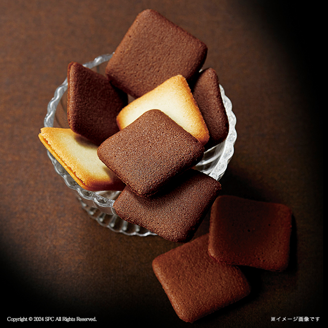 Tresore　Dolce　　フルーツカラーバウム＆ラングドシャ　No.24｜特選ギフト｜