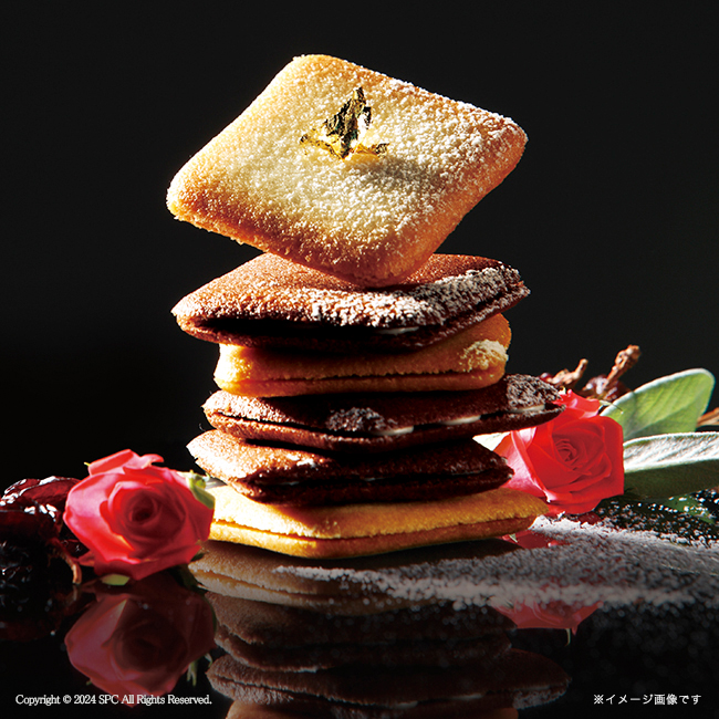 Tresore　Dolce　　フルーツカラーバウム＆ラングドシャ　No.24｜特選ギフト｜