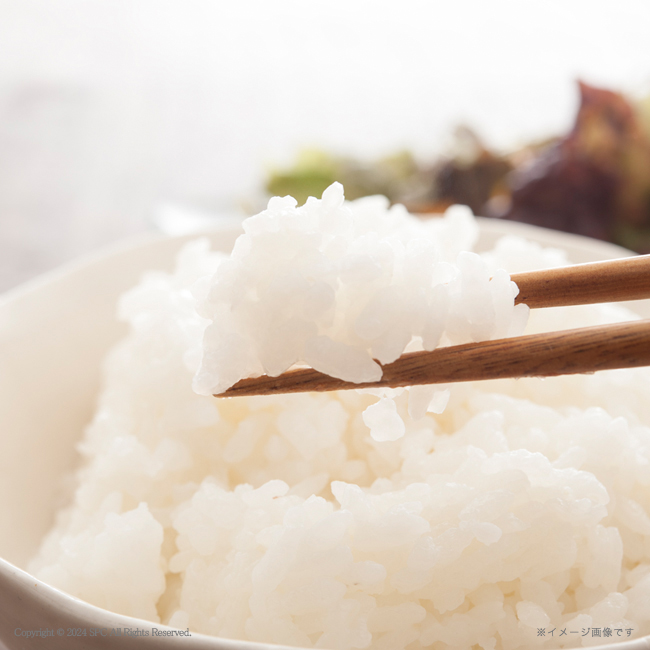 【送料無料】 鮭乃家　そのまま食べれる鮭切り身　フリーズドライと金賞健康米セット　No.160