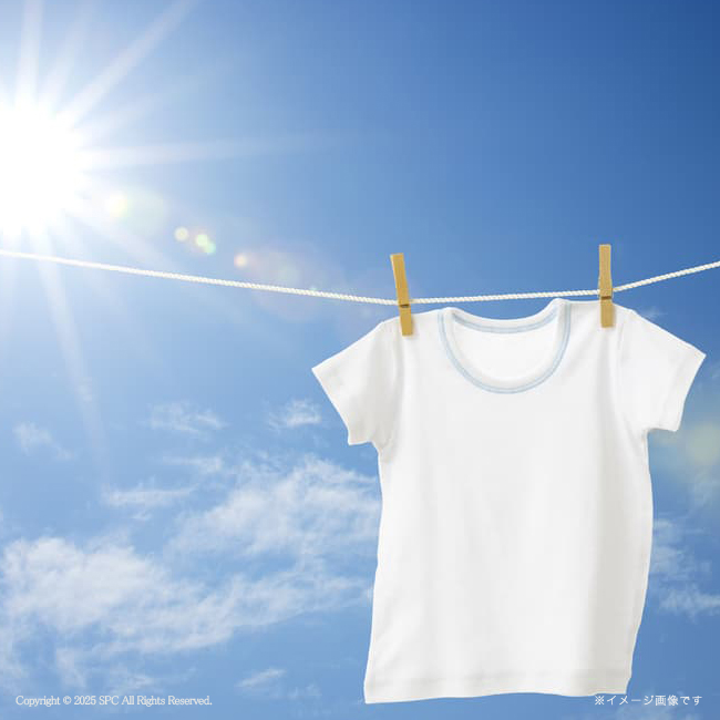 【送料無料】 ギフト工房　アリエール＆キッチンセット　No.50