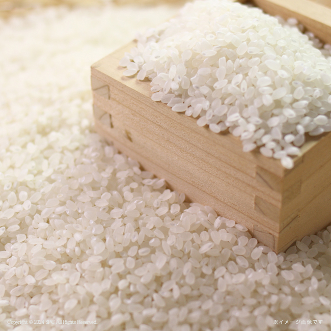 【送料無料】 初代田蔵　新潟県産こしひかりギフト　No.100