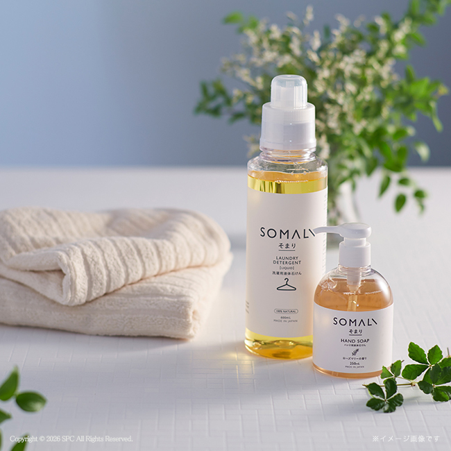 そまり　洗濯用液体石けん・フェイスタオル・ハンドタオル2Pセット　No.50｜特選ギフト｜