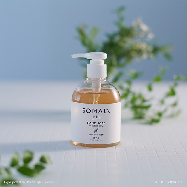 そまり　ハンド用液体石けん・フェイスタオル・ハンドタオル2Pセット　No.50｜特選ギフト｜