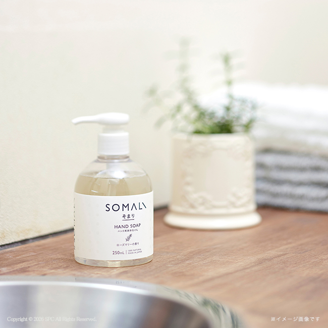 そまり　ハンド用液体石けん・フェイスタオル・ハンドタオル2Pセット　No.50｜特選ギフト｜