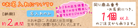 魚沼産こしひかり No.50 (女の子) ※2週間前後での発送 【名入れ専用】